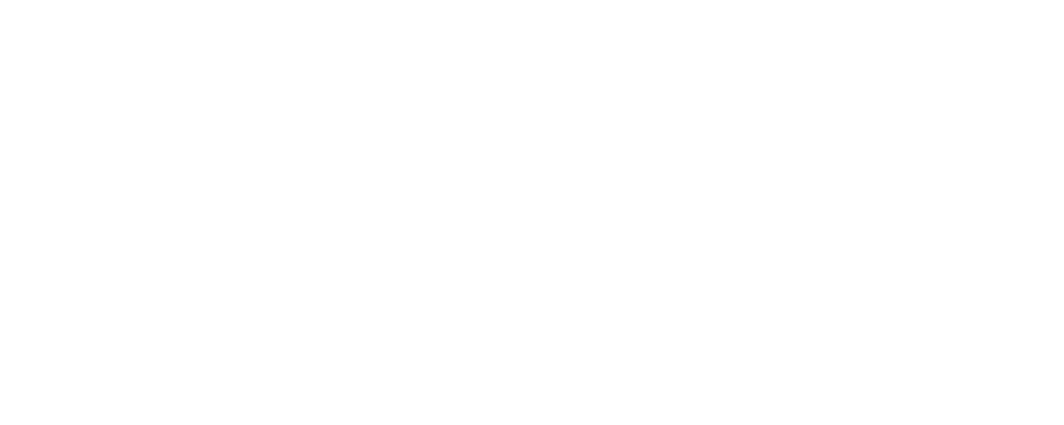 Workwell Alliance Corp